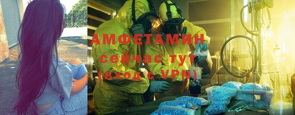 mdpv Бородино