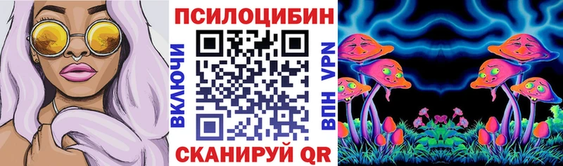 Псилоцибиновые грибы Psilocybe Рыбинск