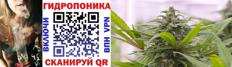 купить   Рыбинск  omg онион  Канабис Amnesia 